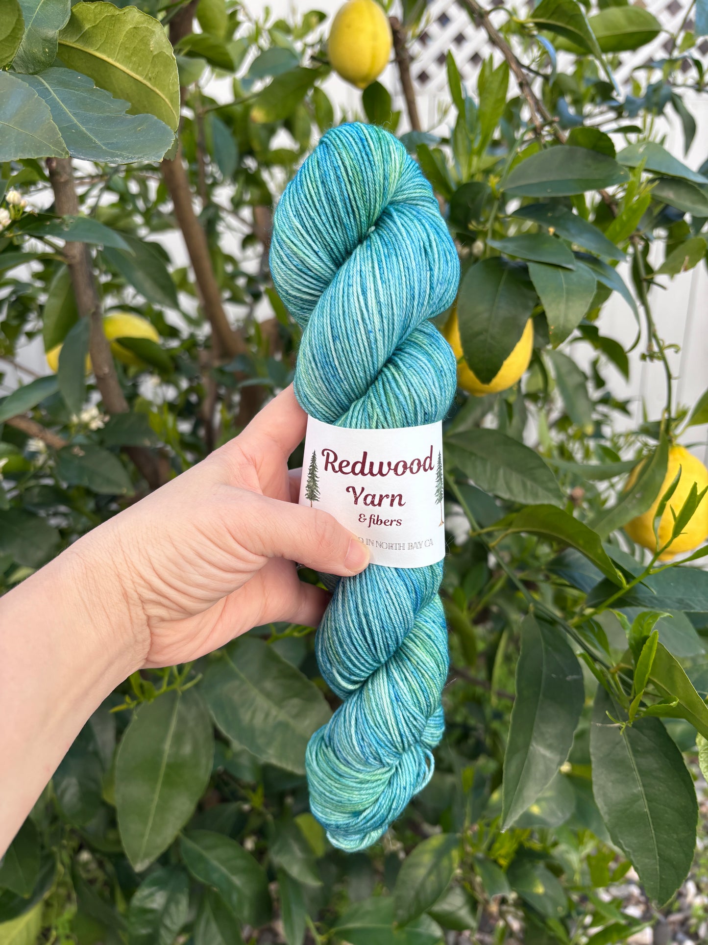 Forrest Blue-Classic Sock
