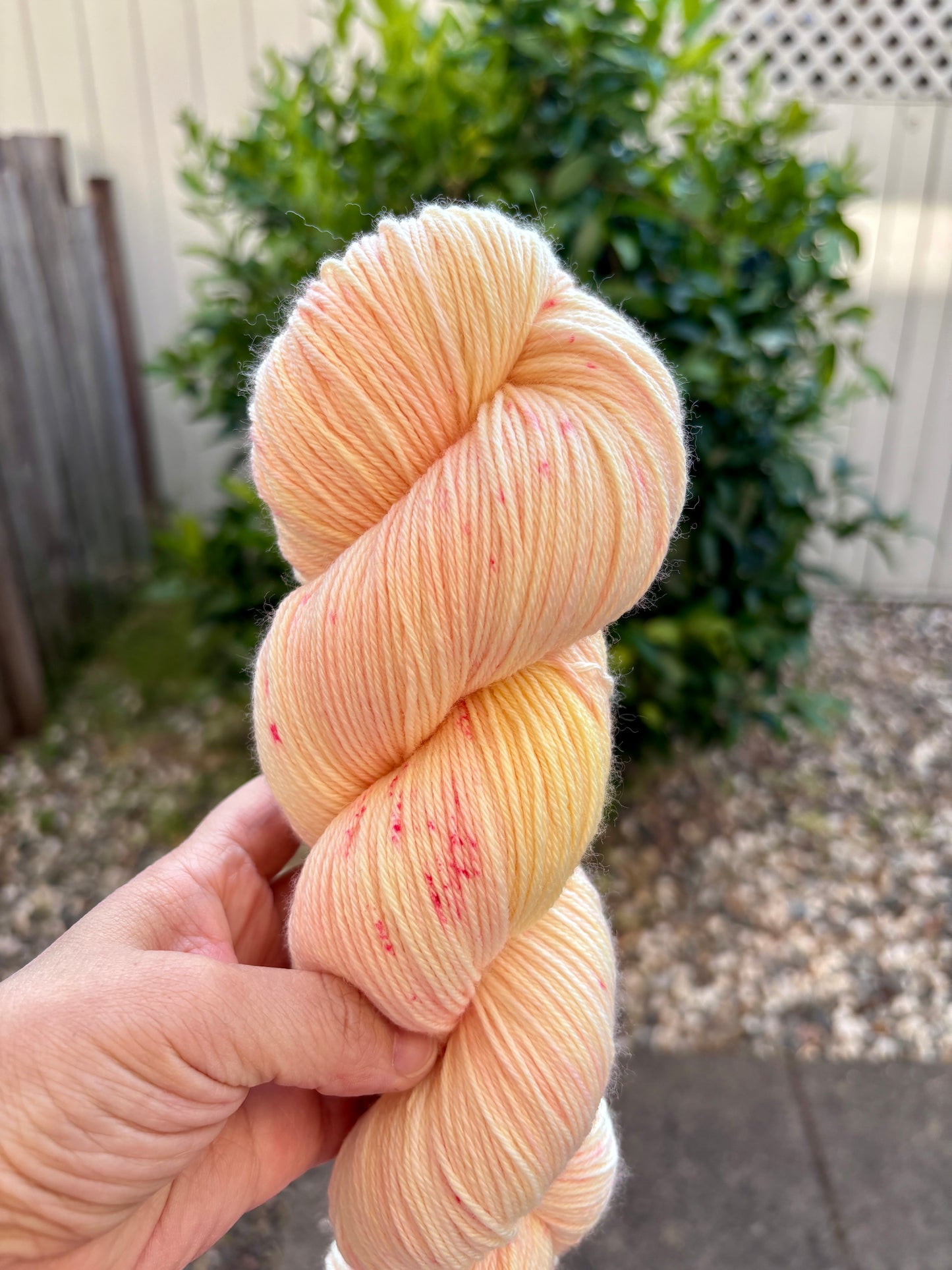Creamsicle- Cashmere sock